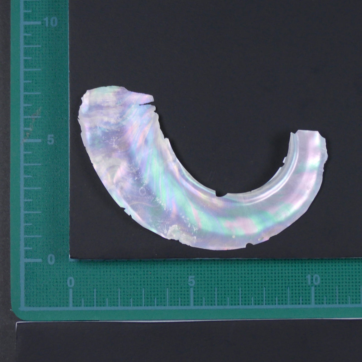 Abalone Shells for Maki-e – Urushi Tsutsumi