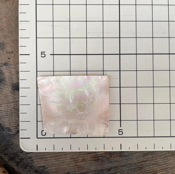 Awabi, Abalone shell,  1mm thick 34mm square/あわび貝厚貝1㎜厚.約34㎜角