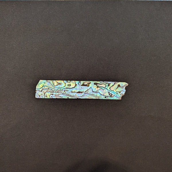 New Zealand Shell, thin0.1mm/ニュージーランド貝うす貝0.1mm厚 約20×90mm