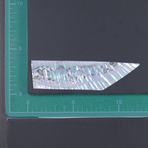 Mexico-gai (Mexican Abalone Shell) Thin 0.1mm/メキシコ貝うす貝　0.1ｍｍ厚